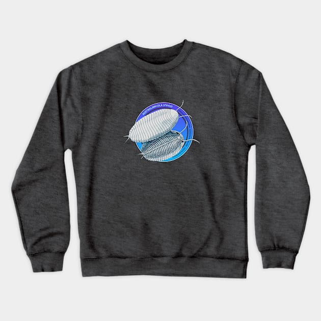 Cambrian collection - Australimicola spriggi Crewneck Sweatshirt by KKpalaeoartist